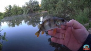 Предобзор тревел НАВАХО Мормышка (Олта), 1.68м, 0.2-1г