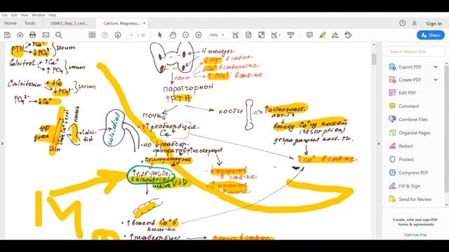 Повышение или снижение кальция, фосфора и магния в крови. Краткий обзор. смотреть онлайн