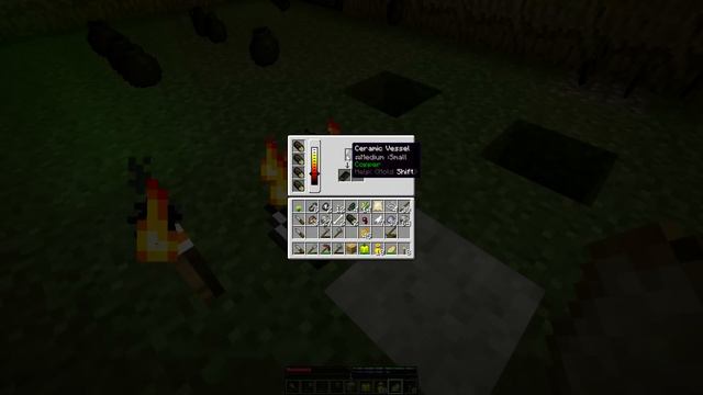 Minecraft - TerraFirmaCraft #2.3 Металл смотреть онлайн