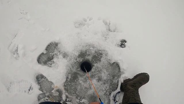 Кто куда а мы за крупной селигерской платвой смотреть онлайн