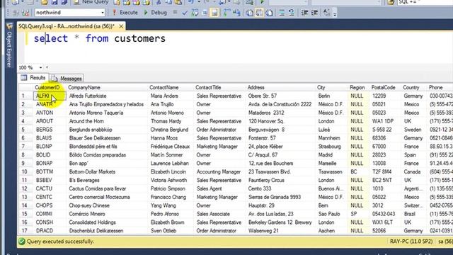 SQL Training For BEGINNERS Lesson 2 SQL Syntax смотреть онлайн