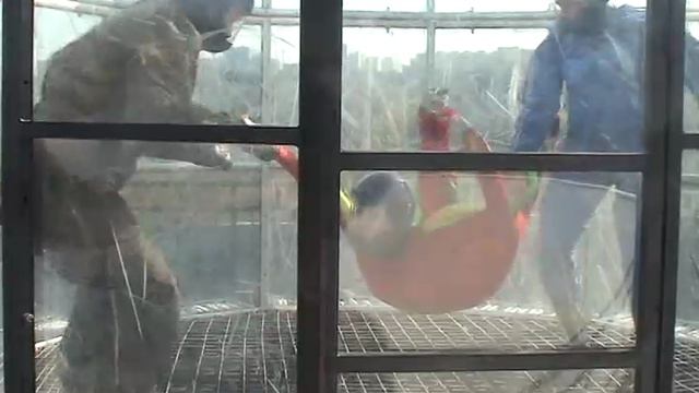 Аэротруба - перед Мальтой