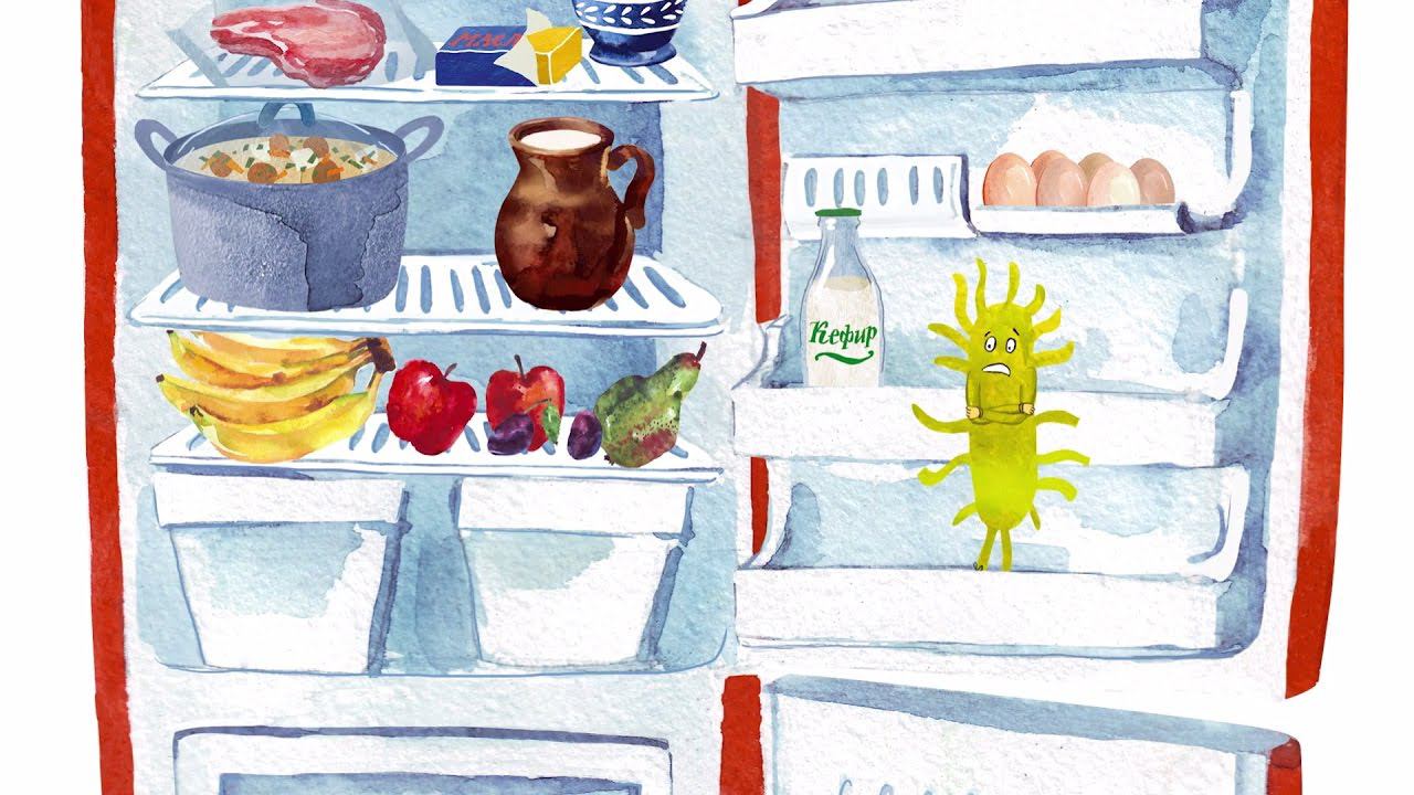 37.2. Чем опасны бактерии для человека смотреть онлайн