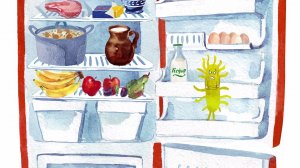 37.2. Чем опасны бактерии для человека