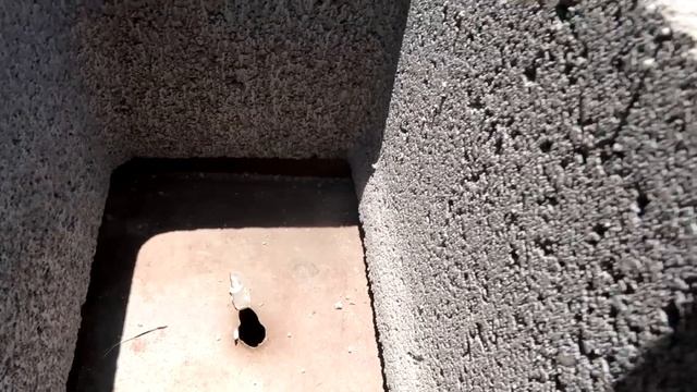9mm vs .40 Cal vs .45 ACP - Cinder Block Test смотреть онлайн