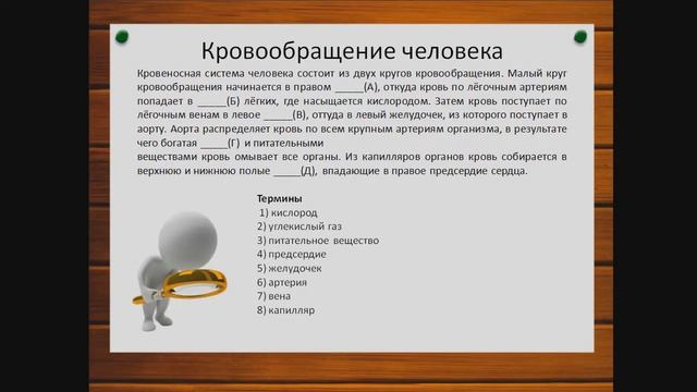 Кровообращение. Лёгкие.