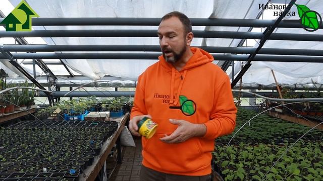 ИСПОЛЬЗУЮ ВМЕСТО АЗОТНЫХ УДОБРЕНИЙ. ТОЛЬКО БЕСПЛАТНЫЕ СПОСОБЫ. МАГАЗИННЫЕ УДОБРЕНИЯ ЖУТКО ПОДОРОЖАЛ смотреть онлайн