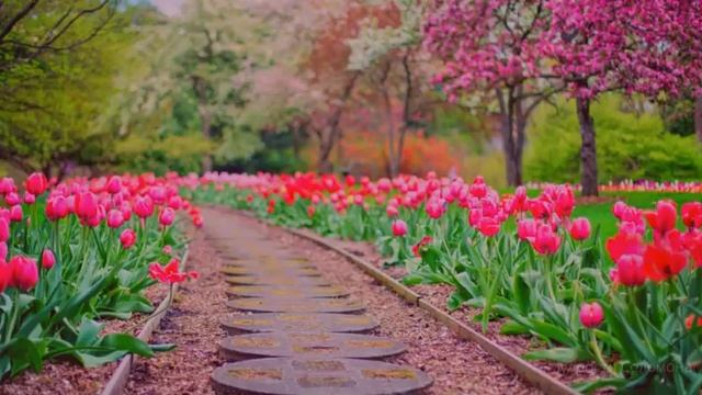 Как сделать выбор? (совет) смотреть онлайн