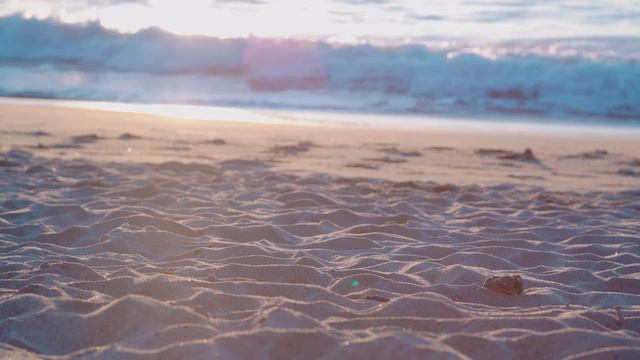 Пансионат "Николаев" смотреть онлайн