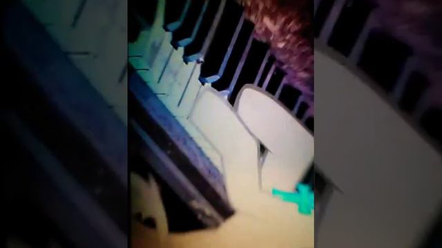(пони-клип)@правильная девочка смотреть онлайн