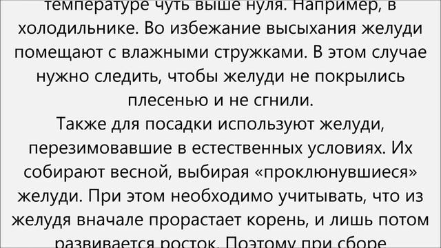 Как вырастить дуб из желудя смотреть онлайн