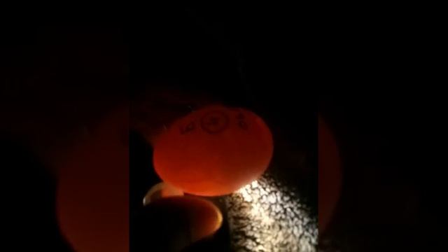 Самый простой инкубатор. Часть 2 смотреть онлайн