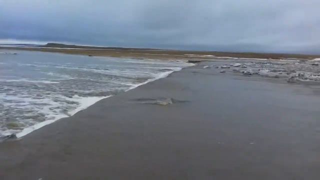Дорога Якши-Янгизстау -Нижний Бурлук смотреть онлайн