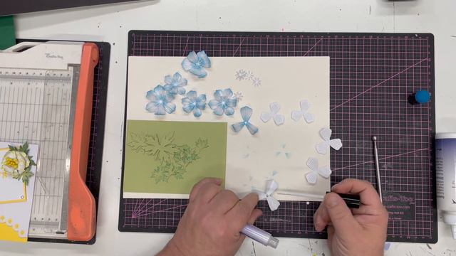 JND300/JND301 - Anemone Flower & Leaves Part 2 смотреть онлайн