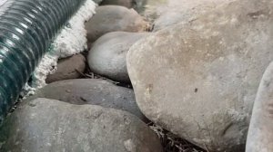 Как установить фильтр насос, скиммер для пруда | Обучающее видео | ПРУД ПРУДИ