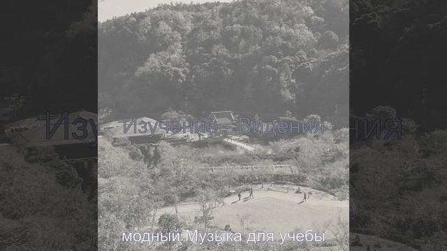 Чувство (Книги) смотреть онлайн
