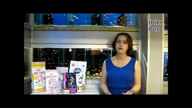 Как перевести котенка на новый корм на ilikepet смотреть онлайн
