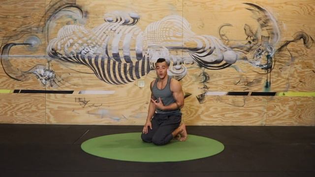 LOVE YOGA TRY PRIMAL MOVEMENT Workout for Mobility & Core (Follow Along, No Equipment) смотреть онлайн