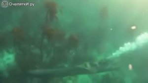 Интересные видео # 7 - Подлодка своими руками