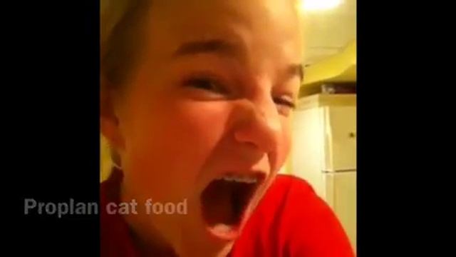 Proplan commercial смотреть онлайн