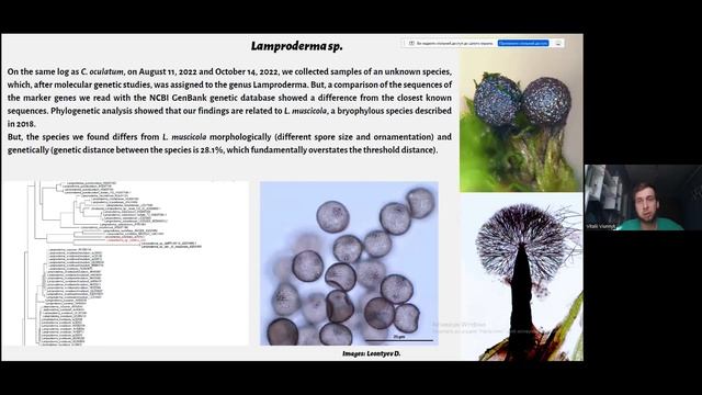 Vitalii Viunnyk First records of bryophylous myxomycetes in the plane part of Ukraine смотреть онлайн