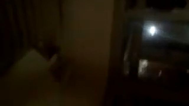 РЕМОНТ КВАРТИР. ПОД КЛЮЧ? смотреть онлайн