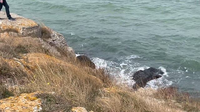 SML организовали временный IT офис в Крыму. 2021 год смотреть онлайн