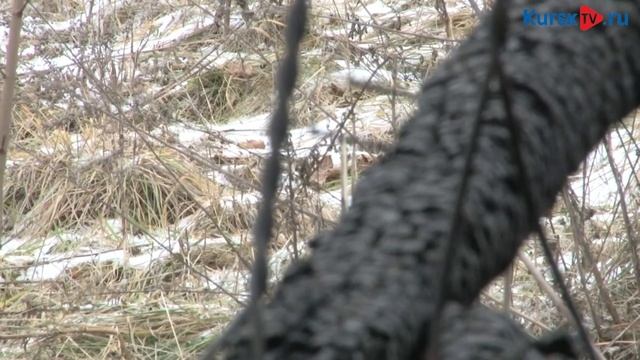 В Курской области пьяное застолье закончилось гибелью троих человек на пожаре смотреть онлайн