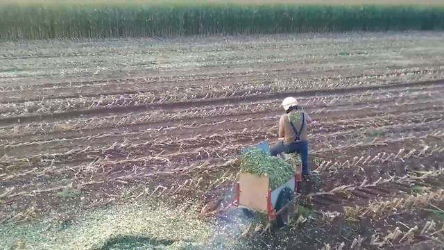 У ЭТИХ ЛЮДЕЙ ВЫДАЛСЯ ДЕНЬ ЯВНО ПОХУЖЕ ВАШЕГО смотреть онлайн