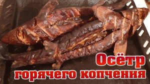 Как коптить осетра в домашних условиях Осетр горячего копчения, приготовленный в домашней коптилке.