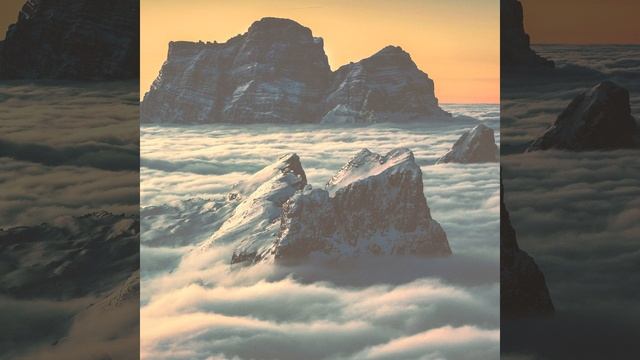 Музыка (Школа) смотреть онлайн