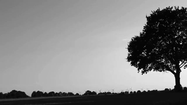 "A Memo To Disney Cast Members" Disney Creepypasta смотреть онлайн