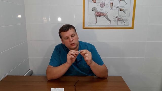 ЧТО ДЕЛАТЬ, ЕСЛИ КОШКА ПРОСИТ КОТА? смотреть онлайн