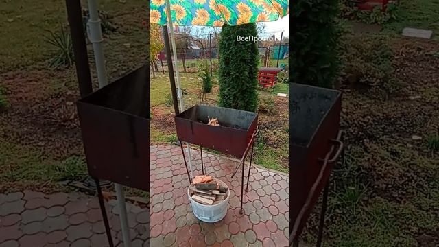 шашлык на фруктовых дровах #shorts смотреть онлайн