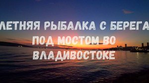 Рыбалка с берега во Владивостоке под мостом-2024