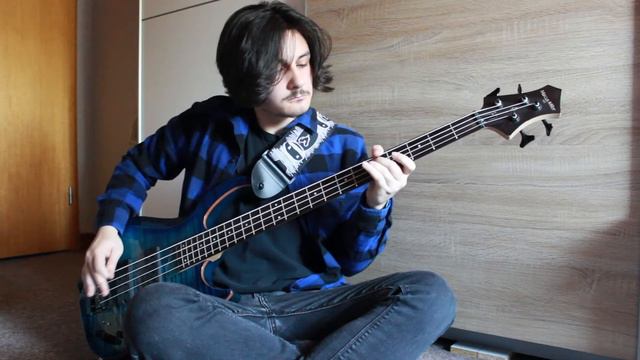 Nirvana Heart Shaped Box (Bass Cover) смотреть онлайн