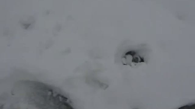 Рыбалка в карьере Борок смотреть онлайн