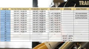 МОЩНЫЙ КУРС НА МАССУ! ТЕСТОСТЕРОН + ТРЕНБОЛОН. НАСТОЯЩАЯ КЛАССИКА 💪😎