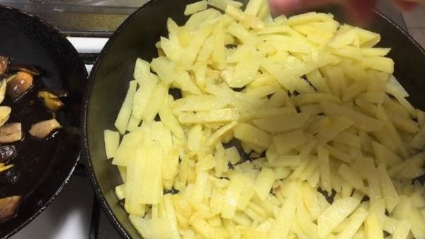 ЧЕСНОЧНИК - супер ГРИБ! Marasmius alliaceus/Чесночник большой - где растет и как приготовить.