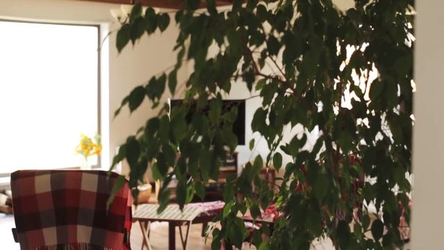 Отзыв о компании БАКО. Каркасный дом под ключ серии "Бавария" смотреть онлайн