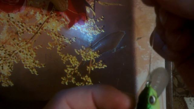 поводок-струна смотреть онлайн