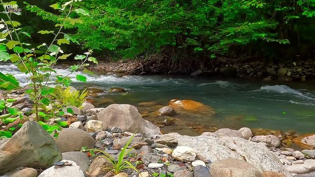 Успокаивающие звуки горной реки бирюзового цвета без пения птиц смотреть онлайн