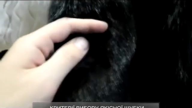 Хутромания. Критерии выбора идеальной шубы смотреть онлайн