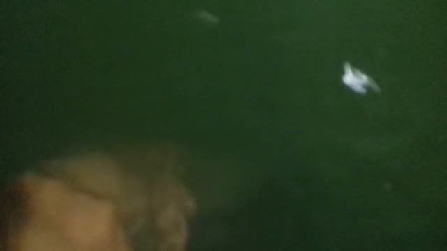 Подробный обзор узв.