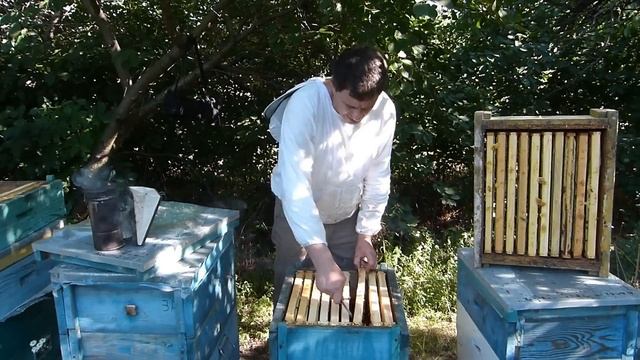 Методы отбора меда в период медосбора смотреть онлайн