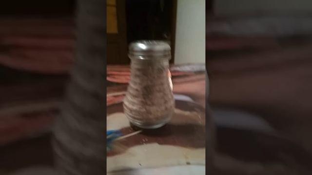 Морской еж. Озвучивание - Лилии Елащук