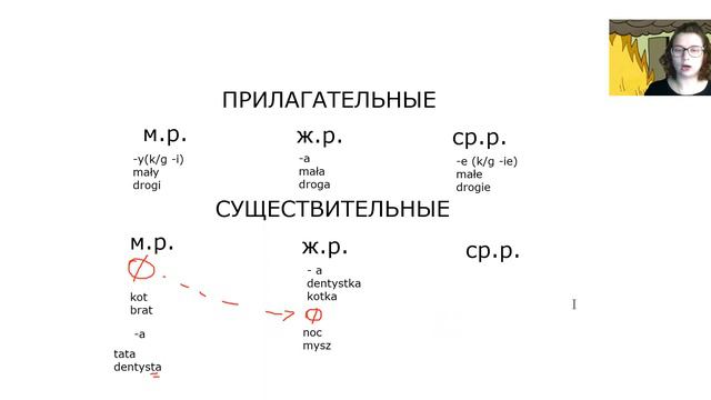 Польский язык: прилагательные и существительные смотреть онлайн