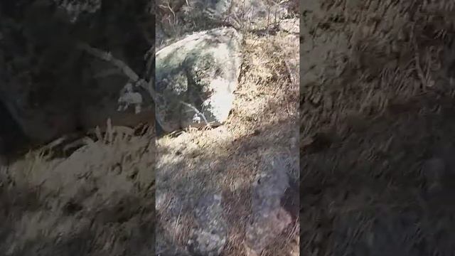 Каркаралинск, Комиссаровка смотреть онлайн