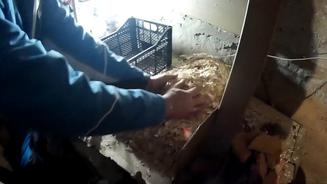 Заготовка щепы для дымогенератора холодное и горячее копчение смотреть онлайн