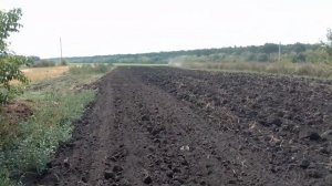 т150 с дискатором на огороде Еле взял